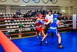 Подведены итоги Первенства УрФО по боксу среди юношей 2001-2002 годов рождения